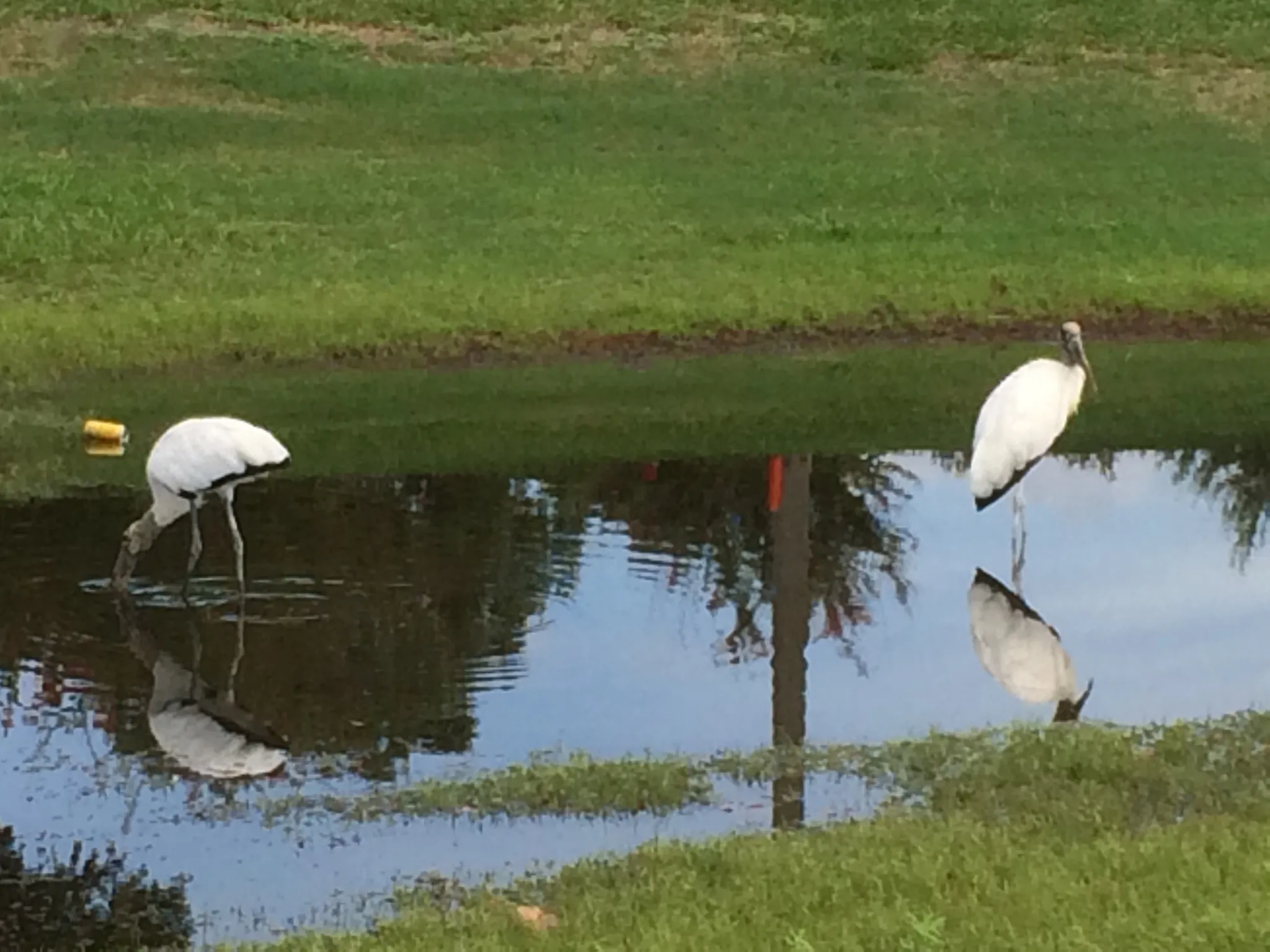 Hunter's Creek Golf Club