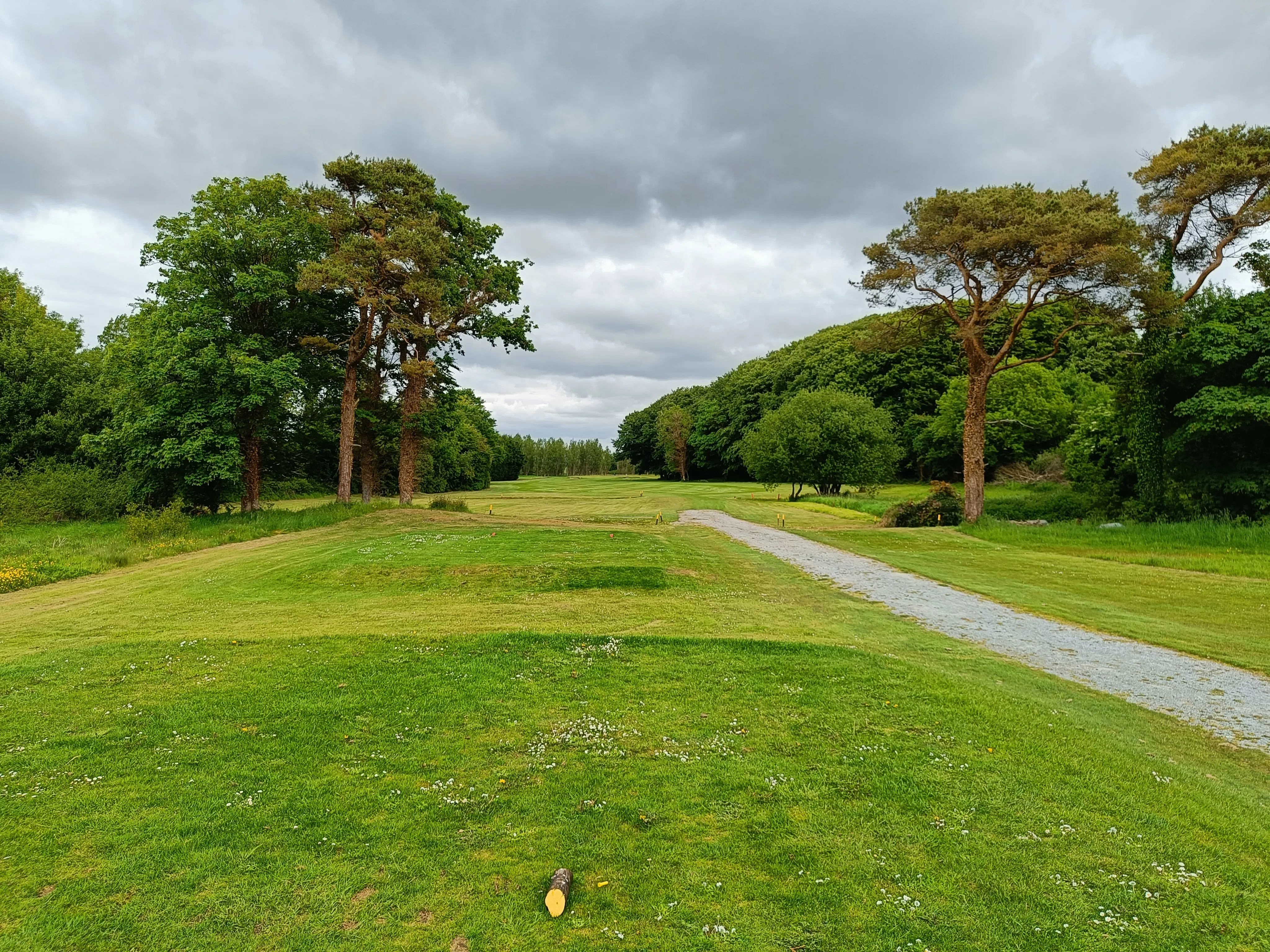 Newcastle West Golf Club