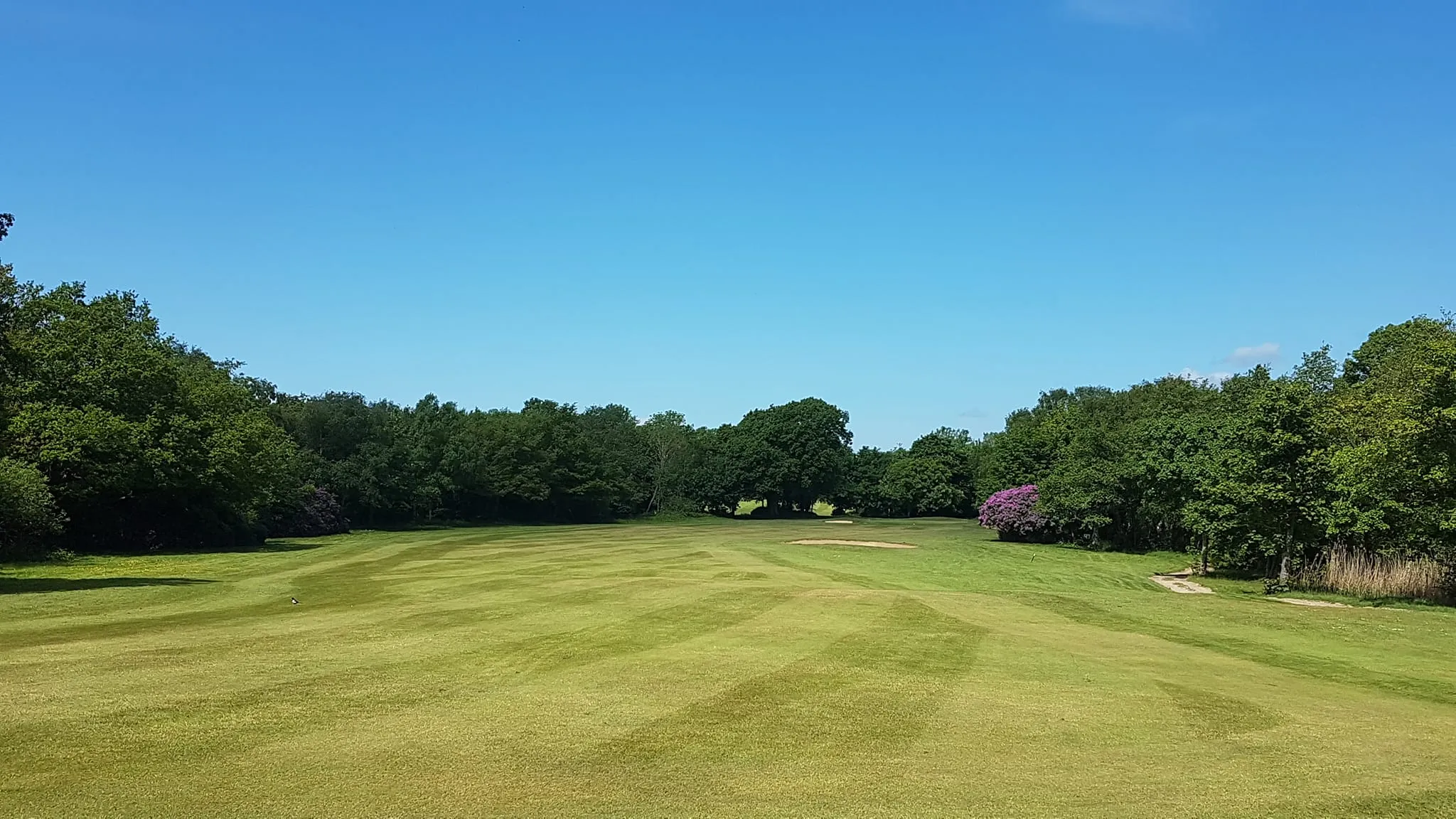 Beauport Park Golf Club