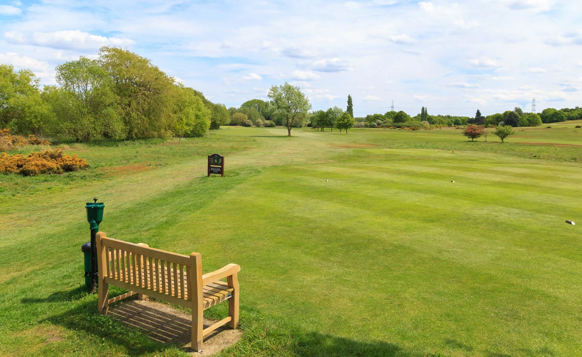 Diss Golf Club