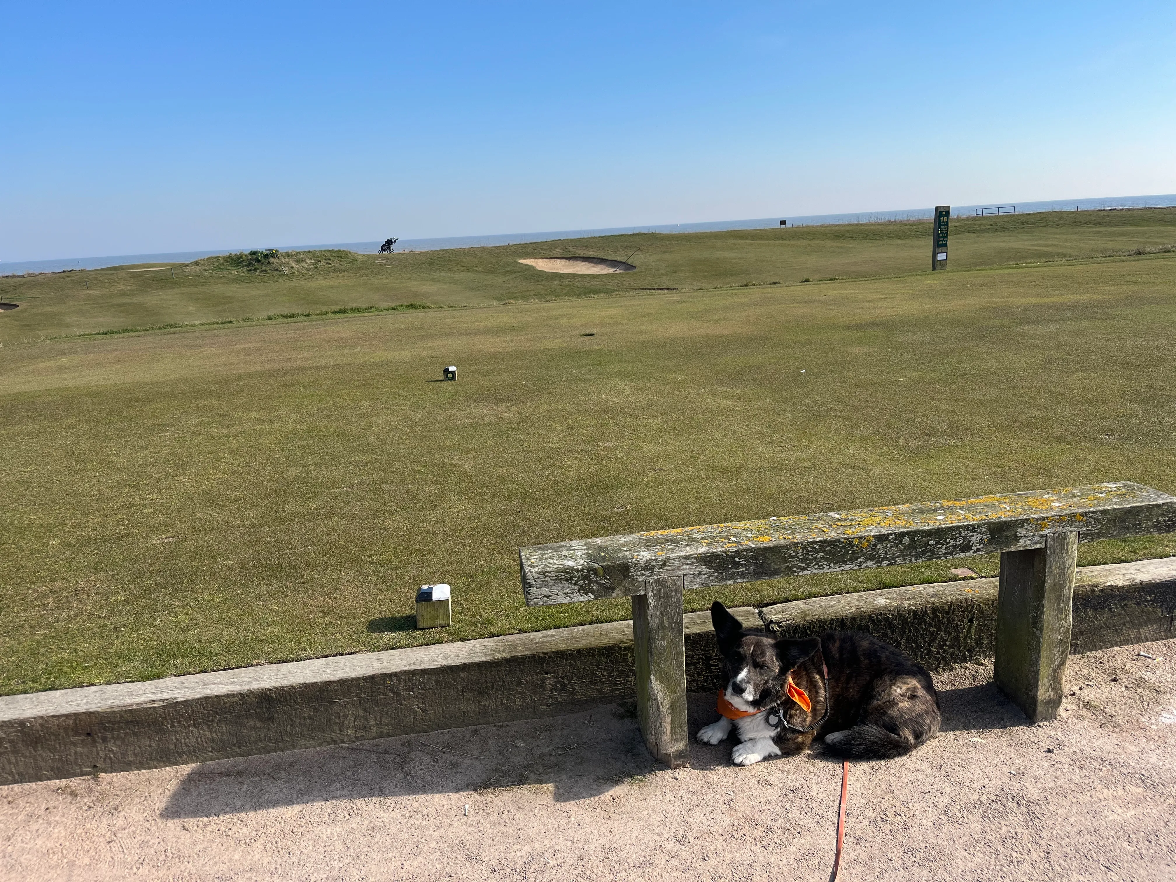 Felixstowe Ferry Golf Club