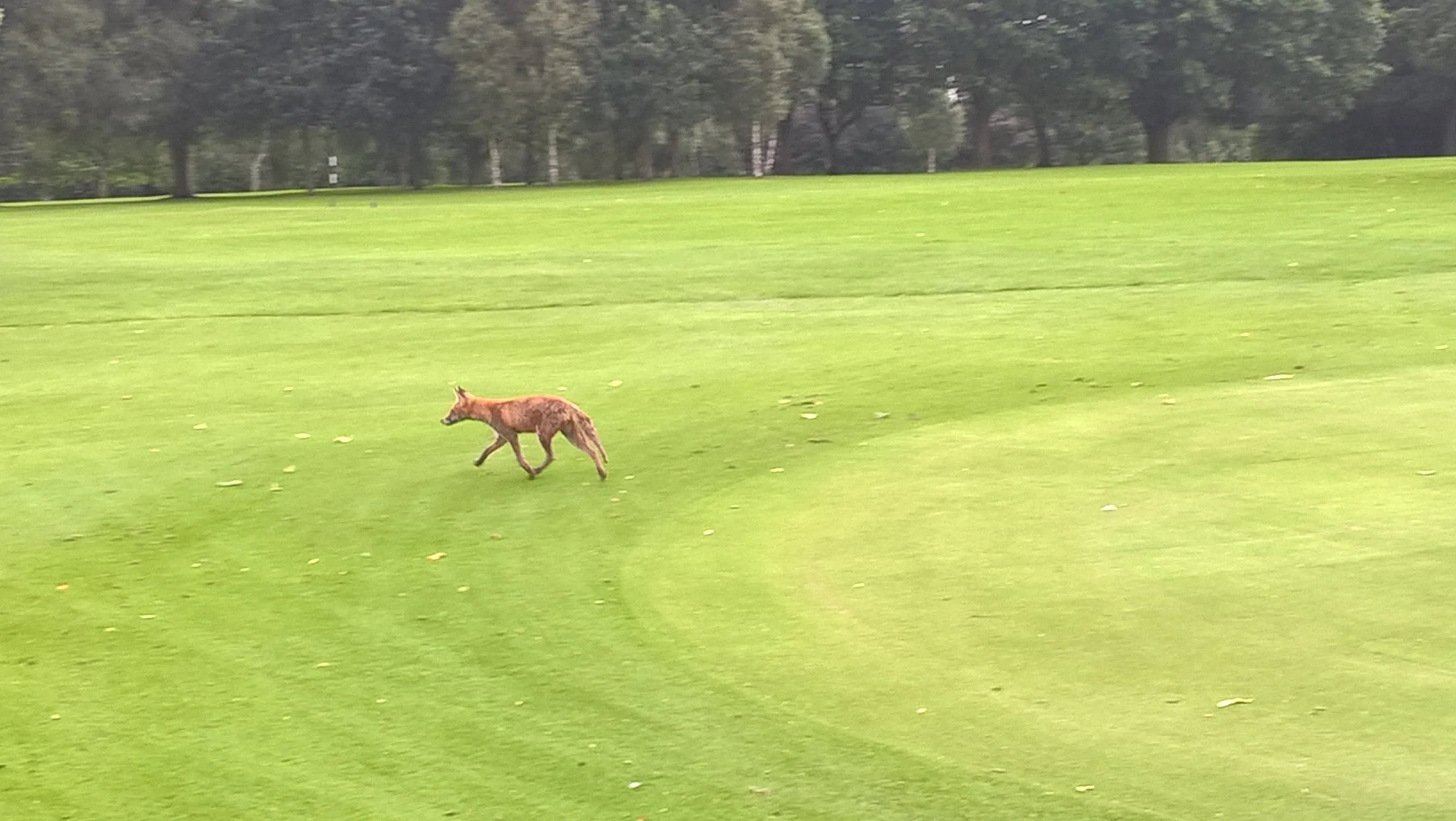 Oxley Park Golf Club