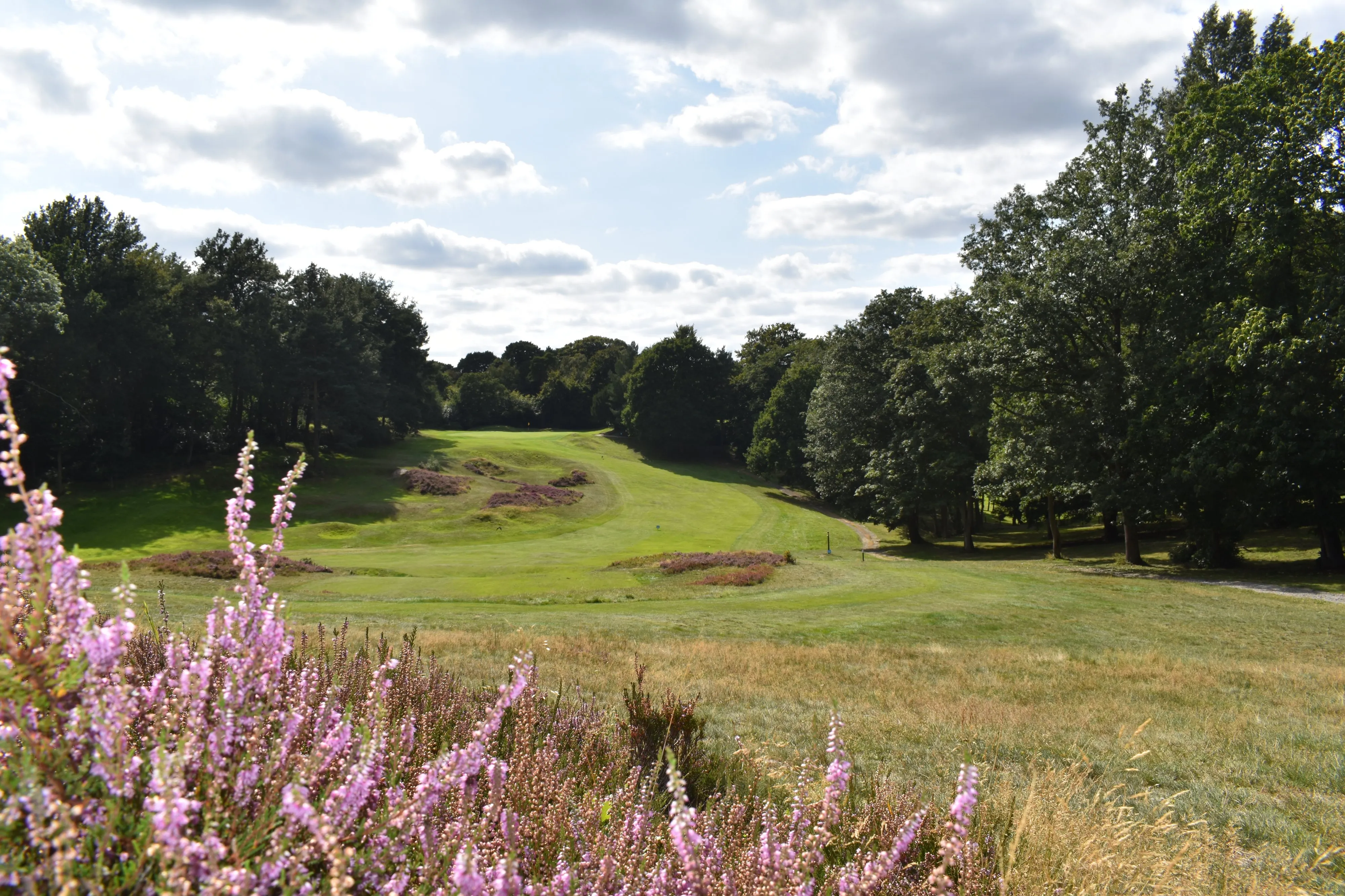 Addington Golf Club (The)
