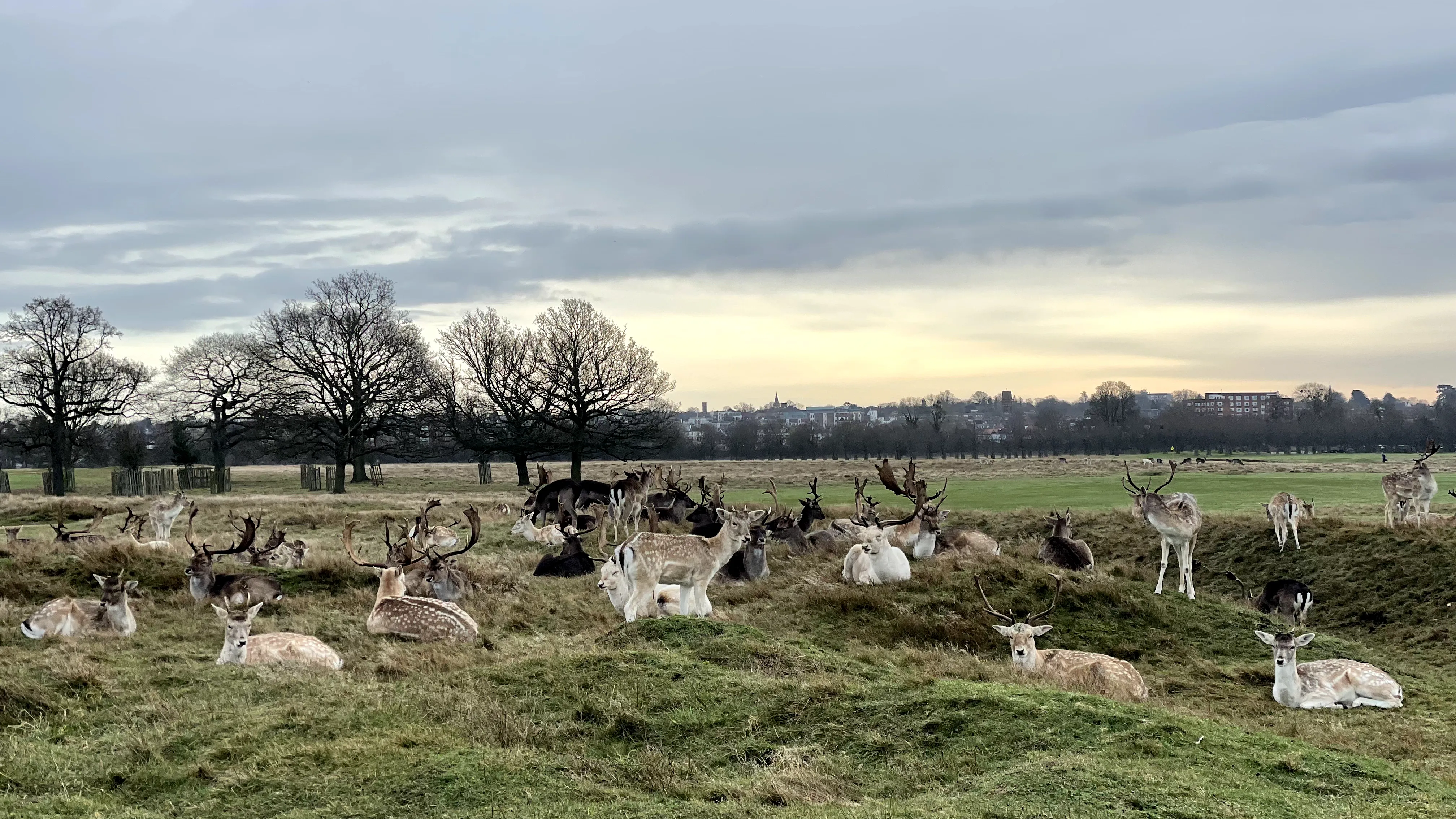 Hampton Court Palace Golf Club