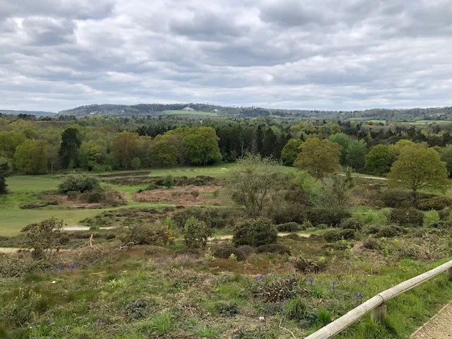 Reigate Heath Golf Club