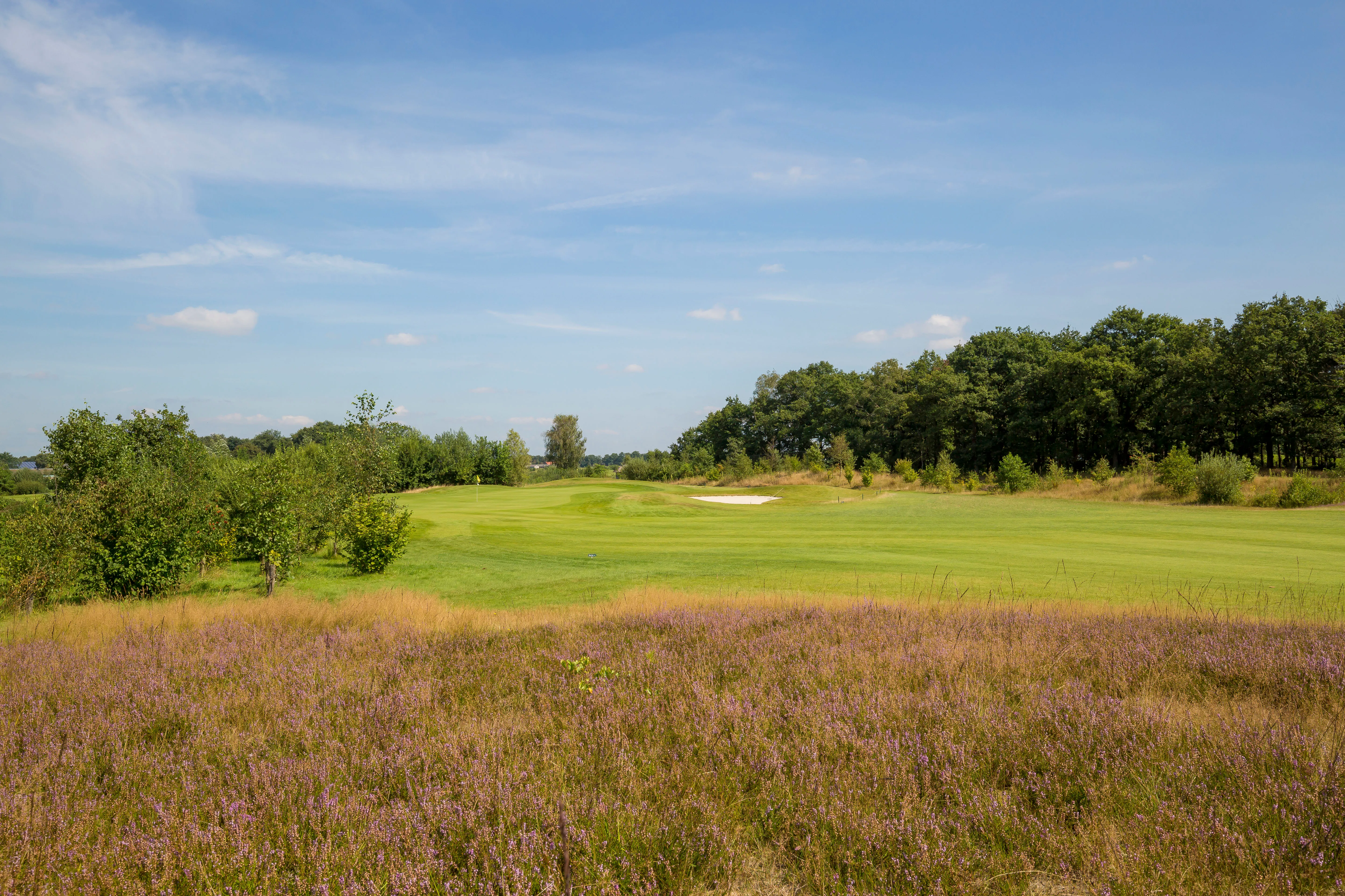 Golfbaan het Woold Asten