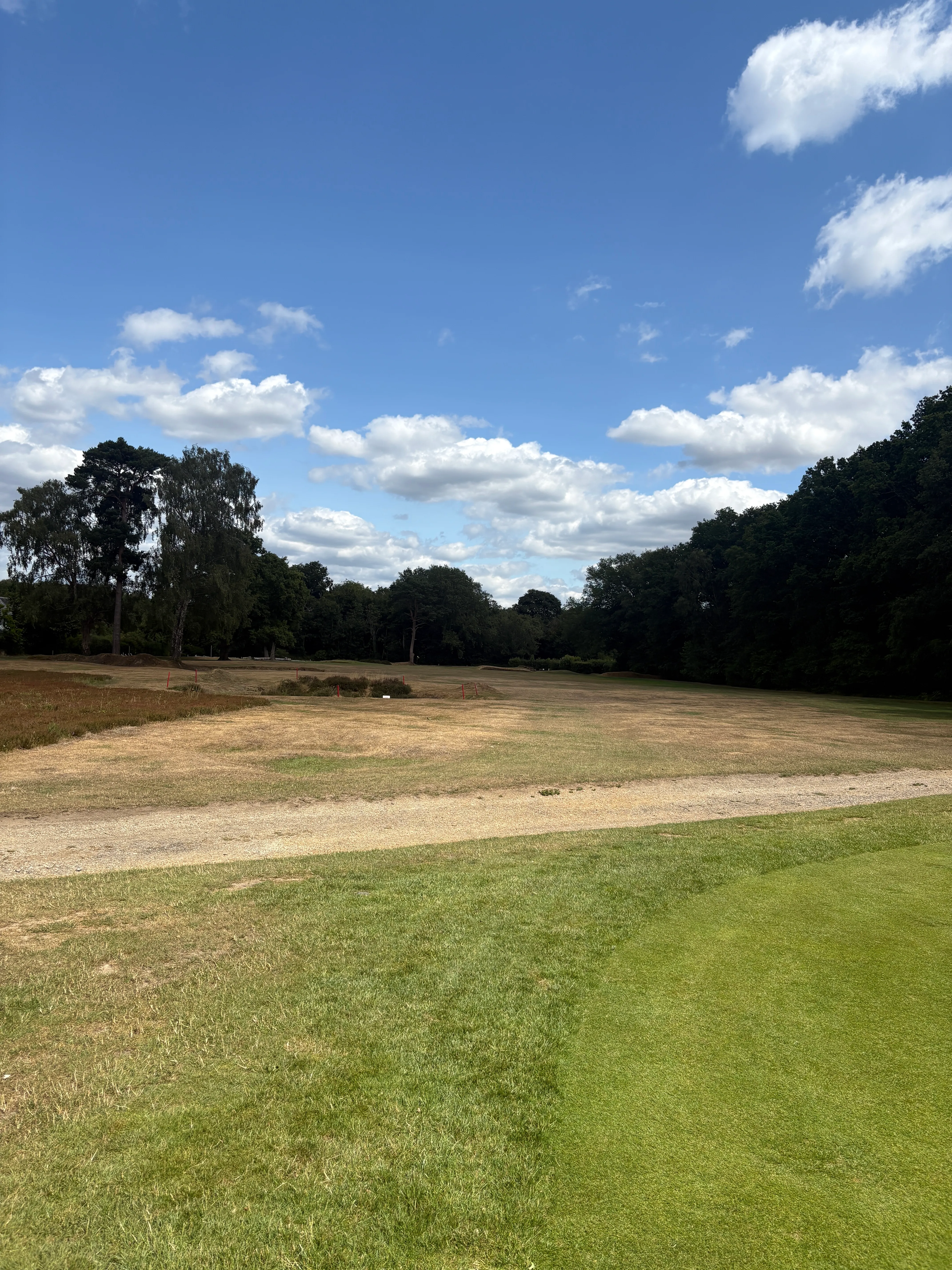 sachin and babi light blue dress Walton Heath