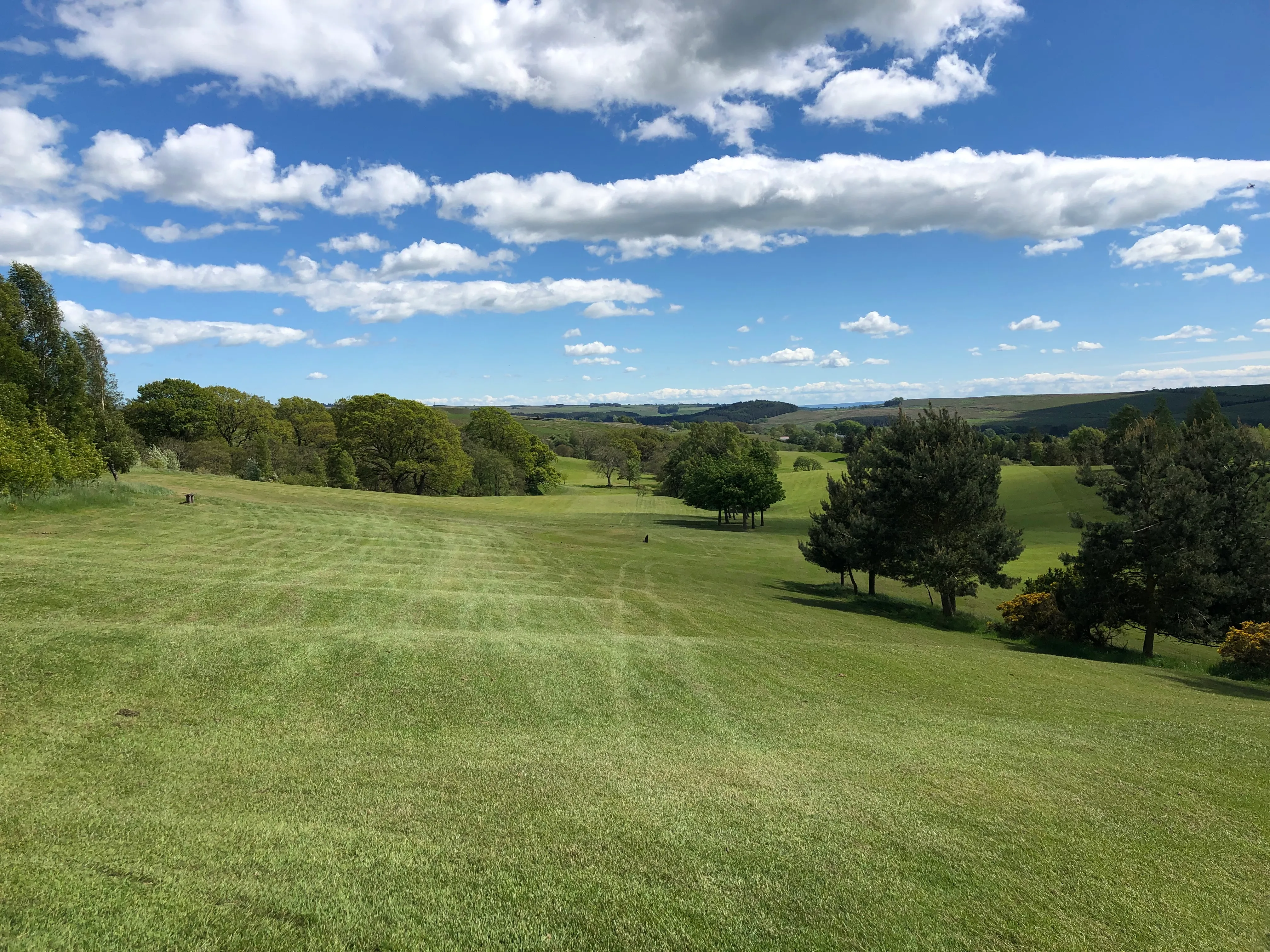 Bellingham Golf Club