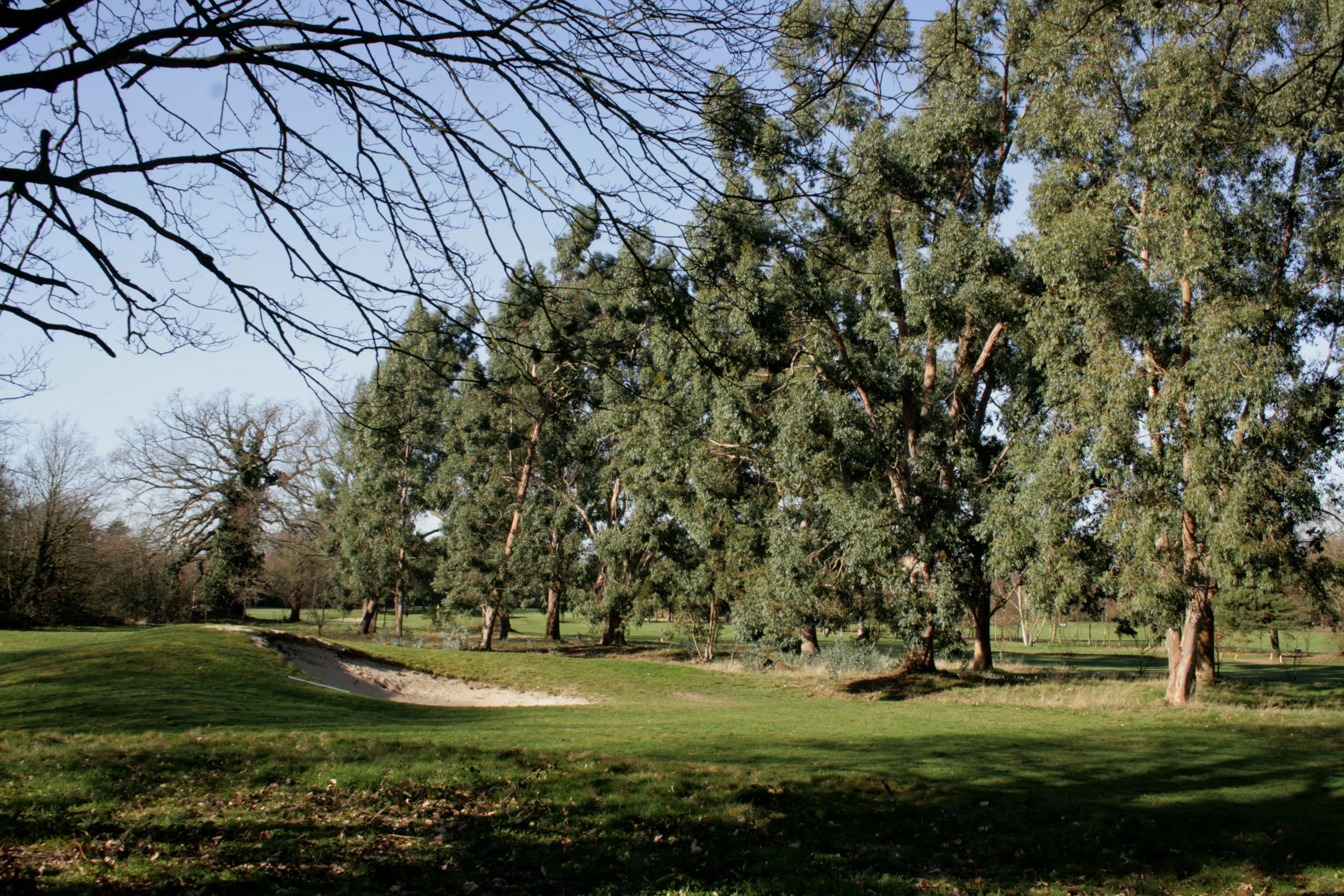 Fulwell Golf Club - Golf Post