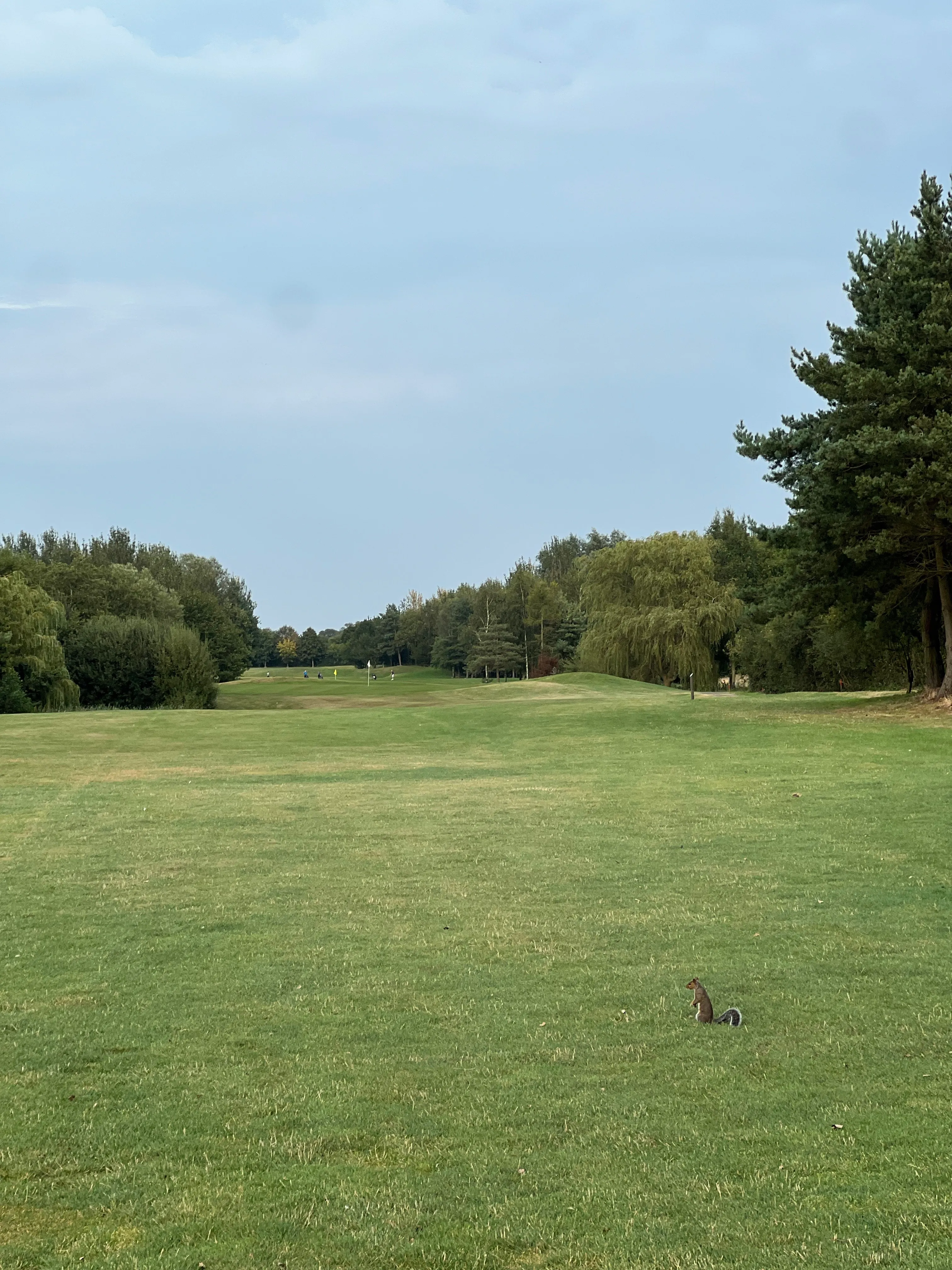 Waltham Windmill Golf Club