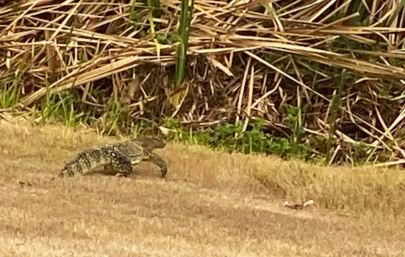 Crystal Bay Golf Club