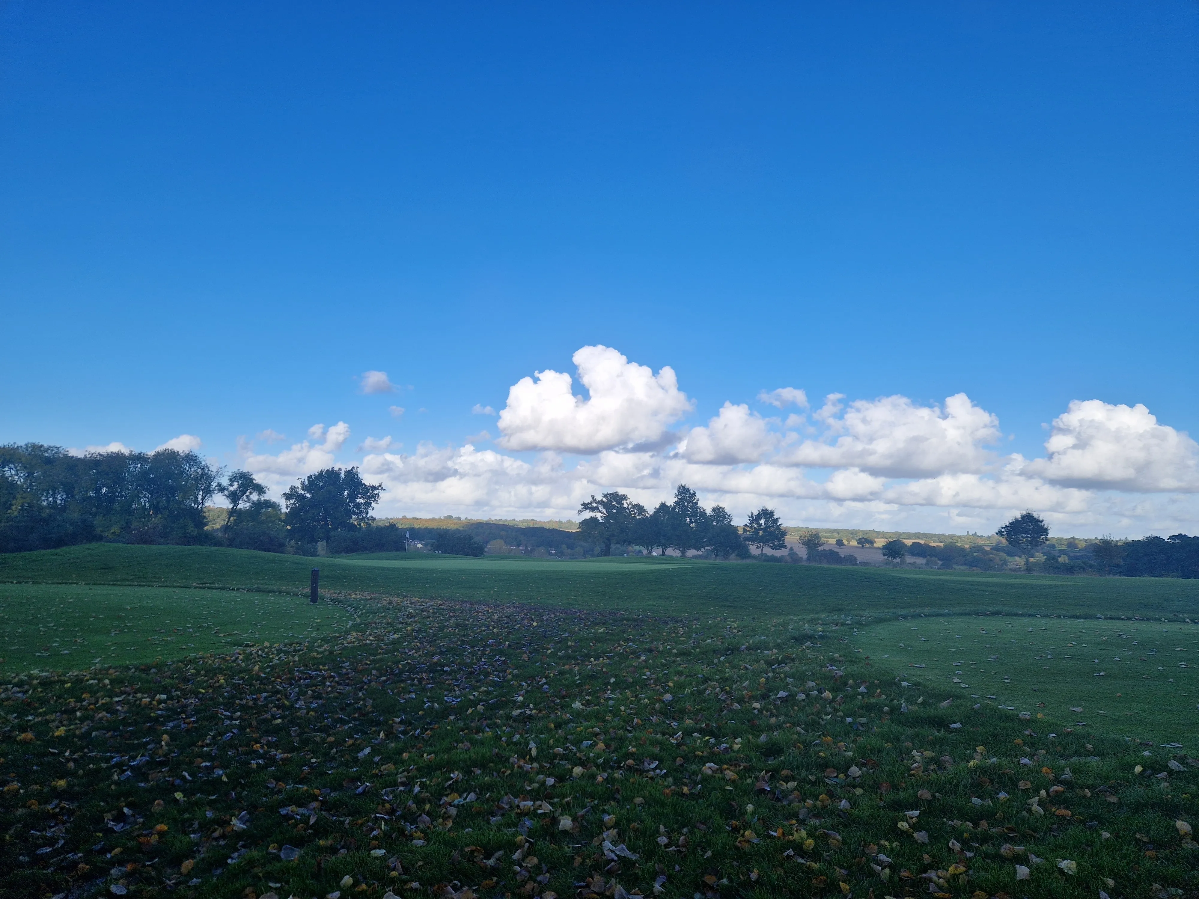 Aldwickbury Park Golf Club