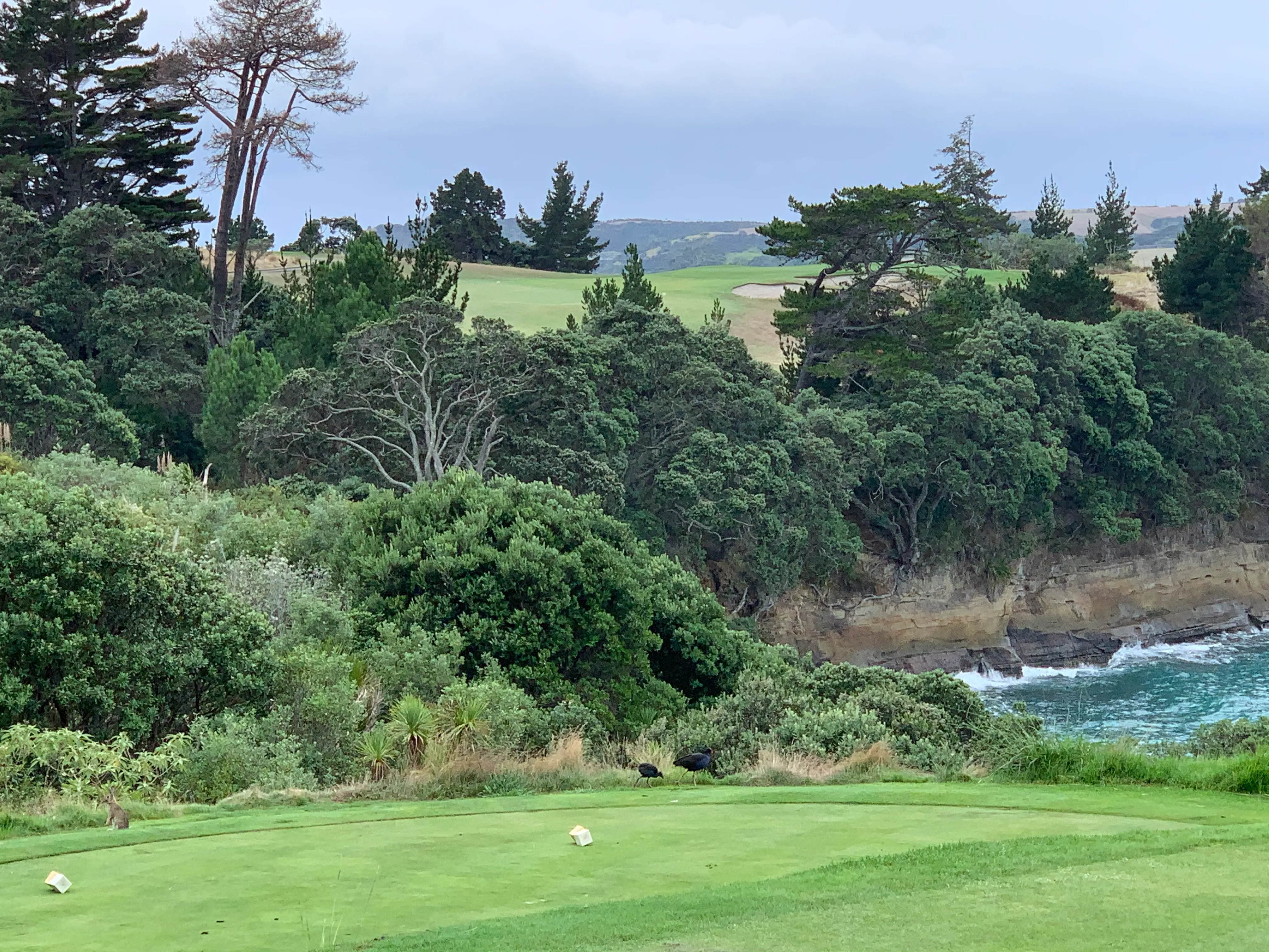 Gulf Harbour Country Club