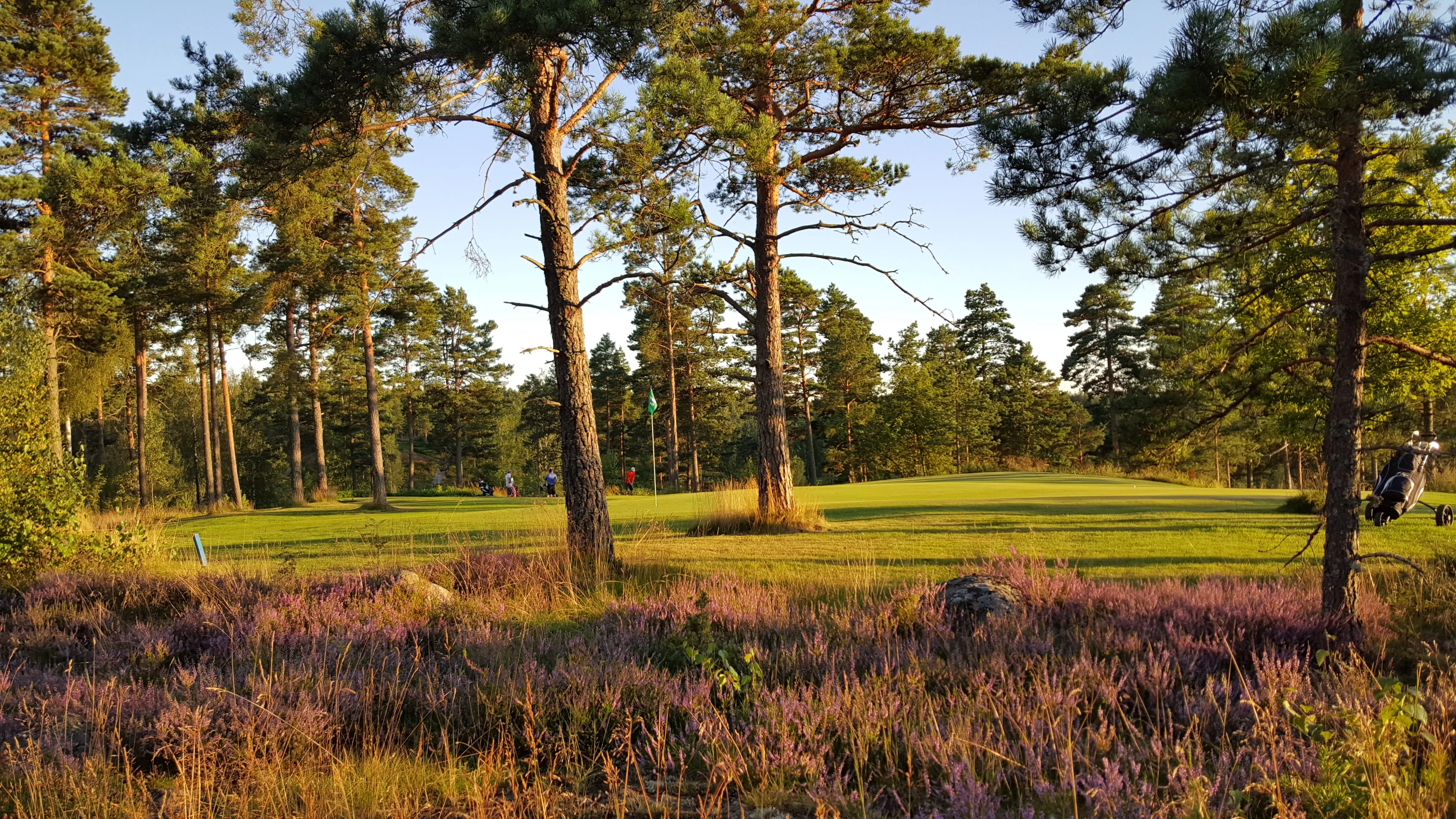 Bjärkas Golf