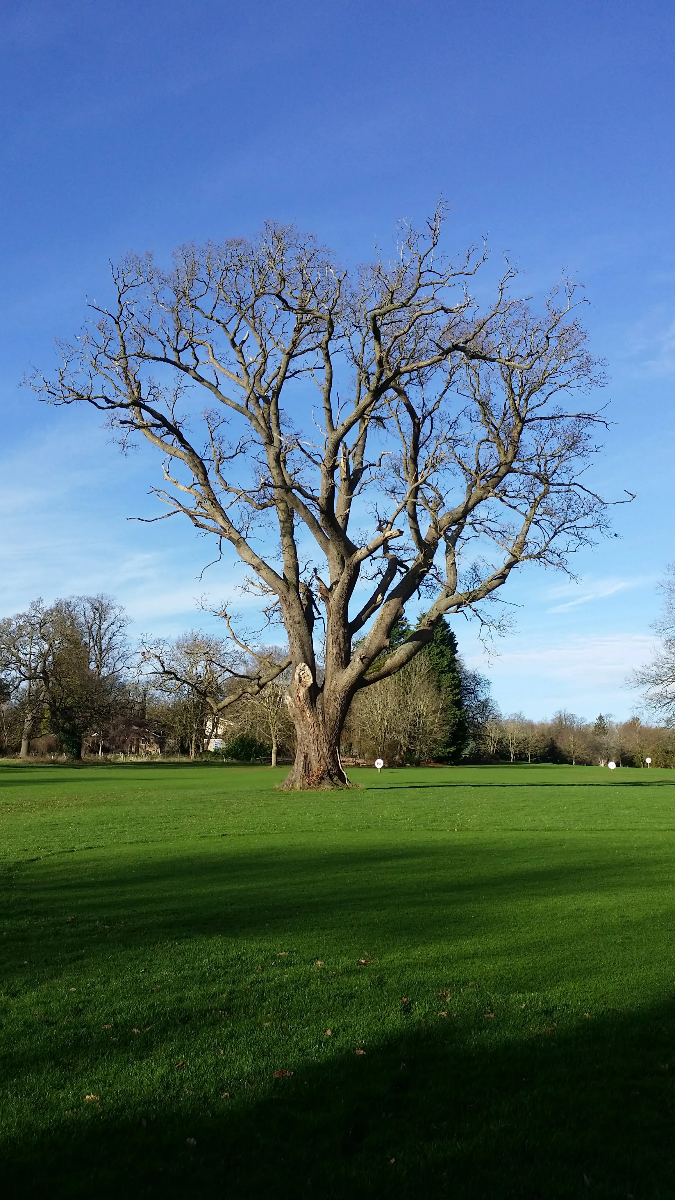 Pavenham Park Golf Club