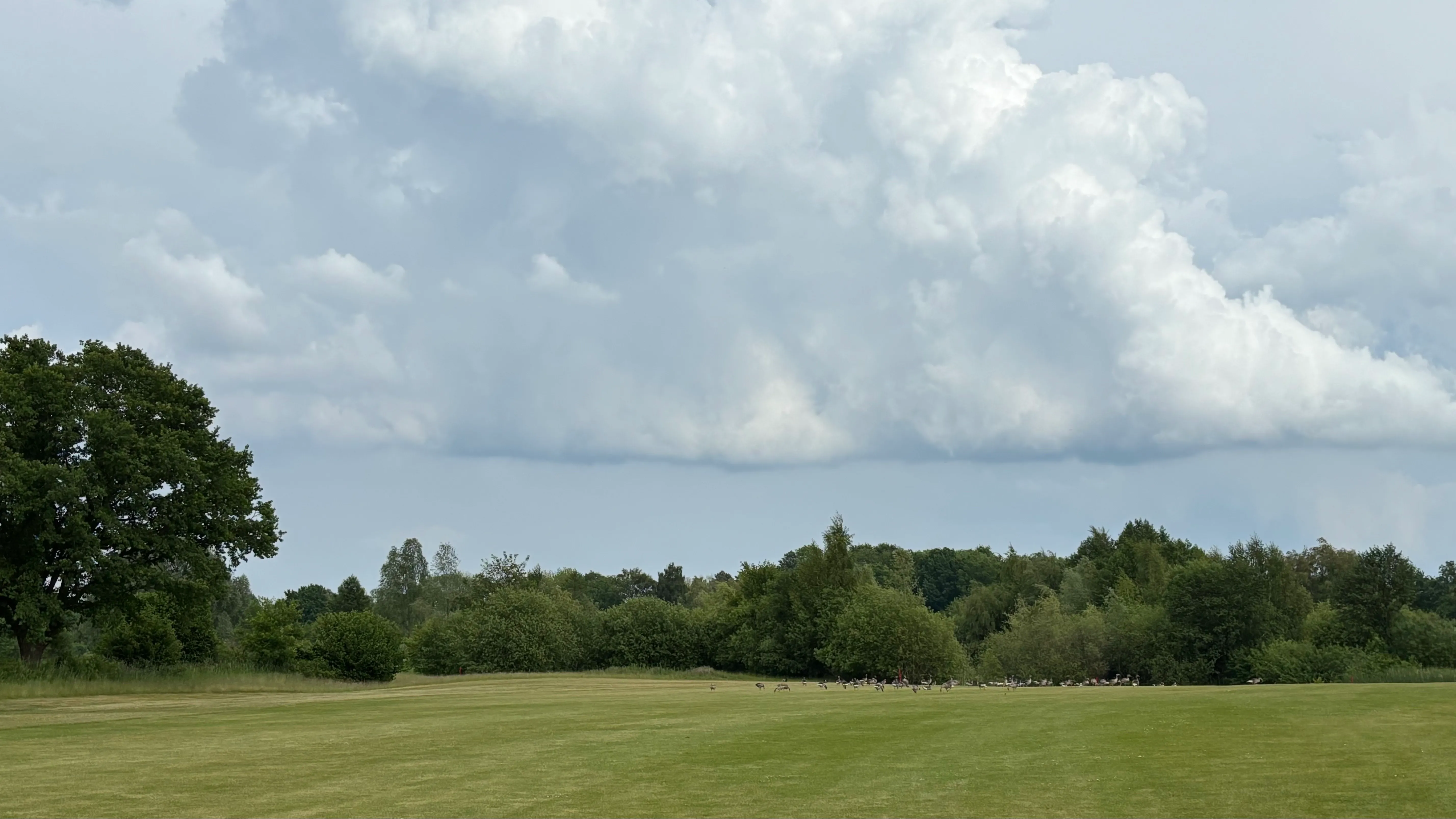 Maritim Golfpark Ostsee