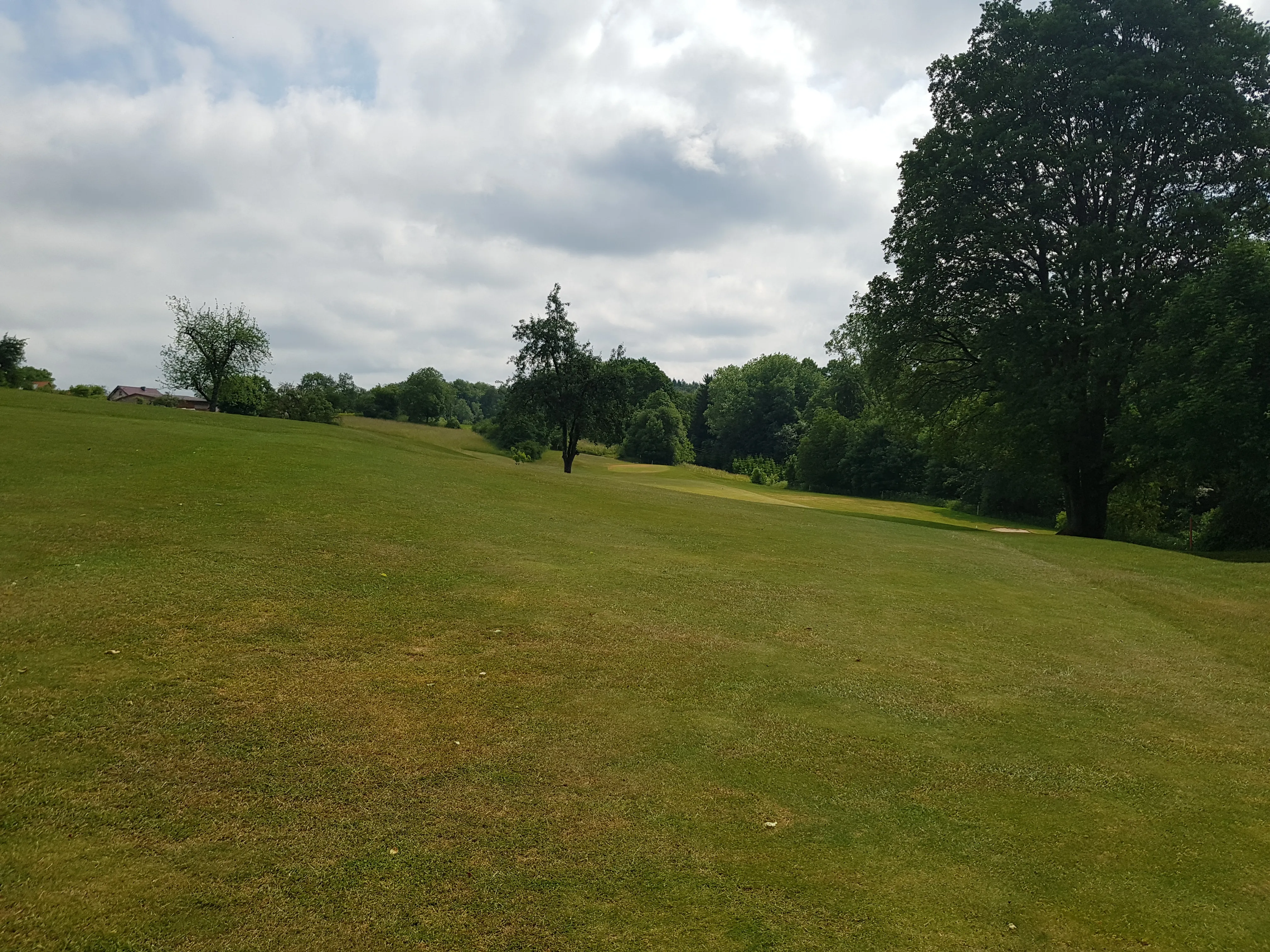 GC Oberrot-Frankenberg