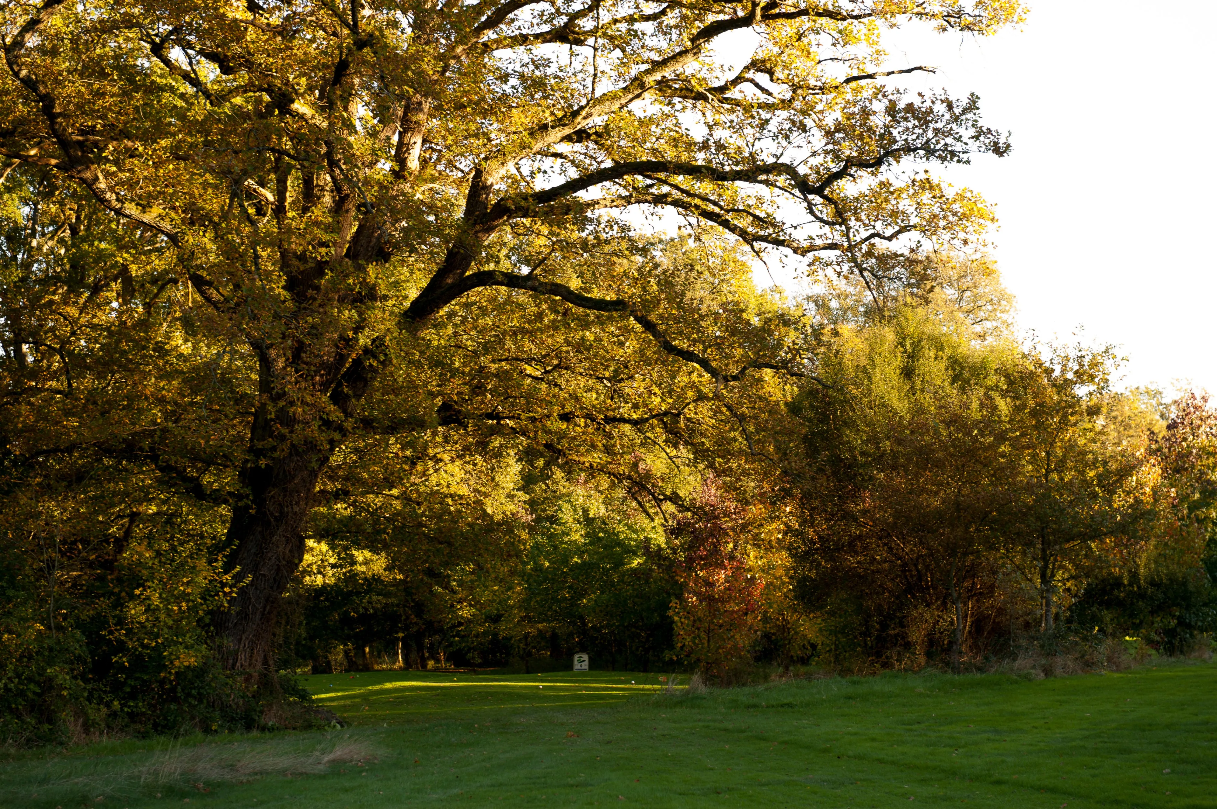 Golf Club du Val de Cher