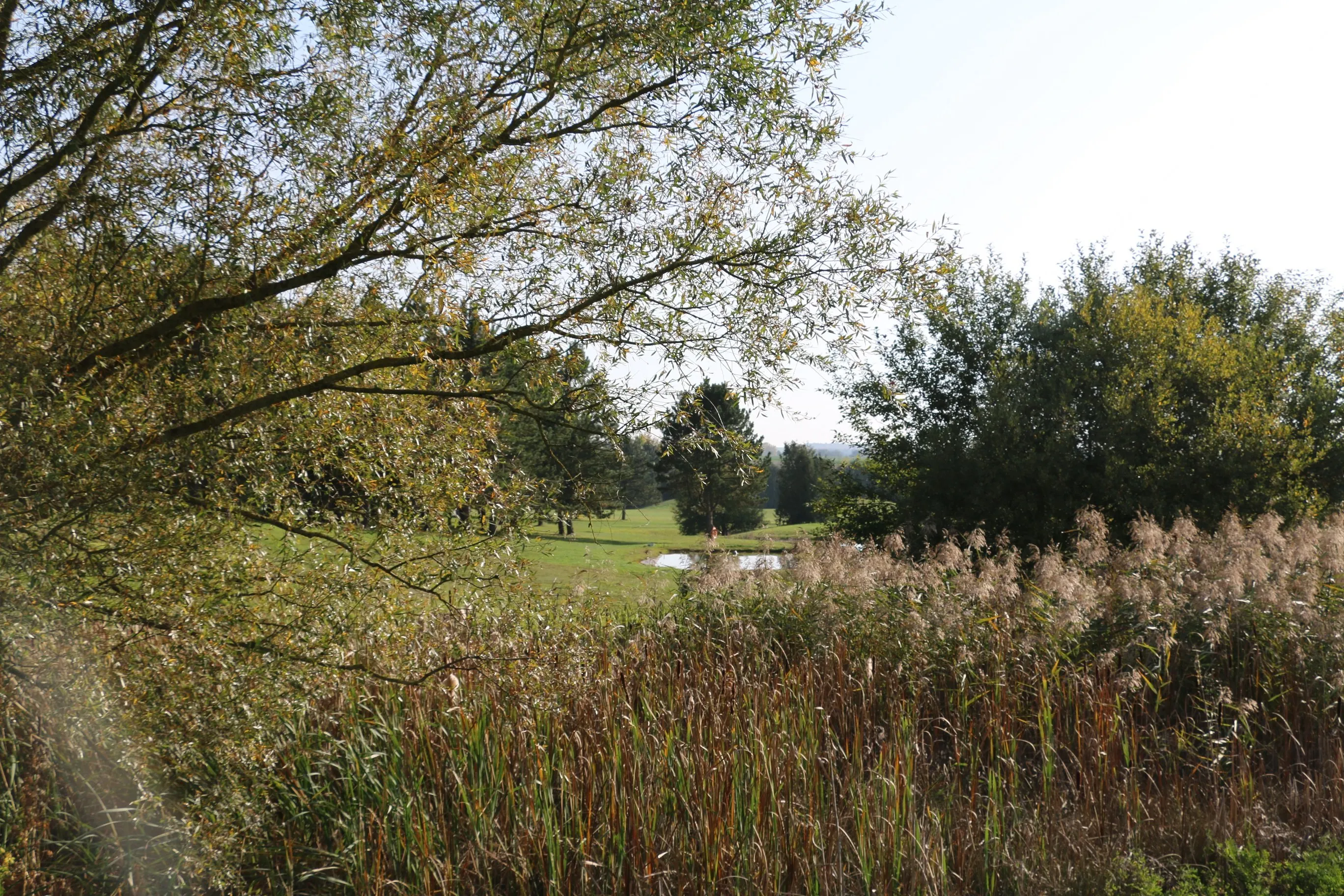 Golf de la Grande Romanie