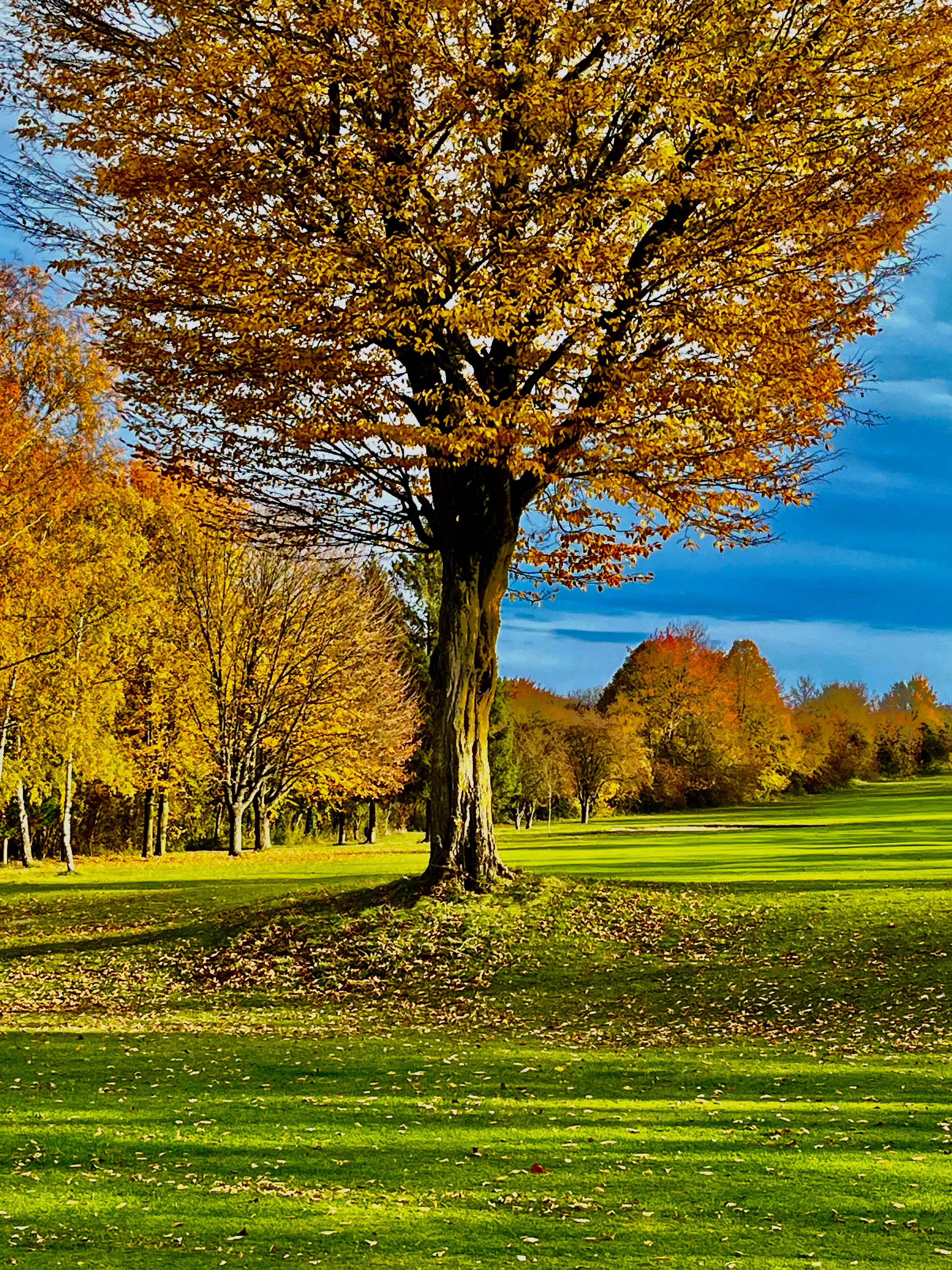 Golf Club d'Amiens