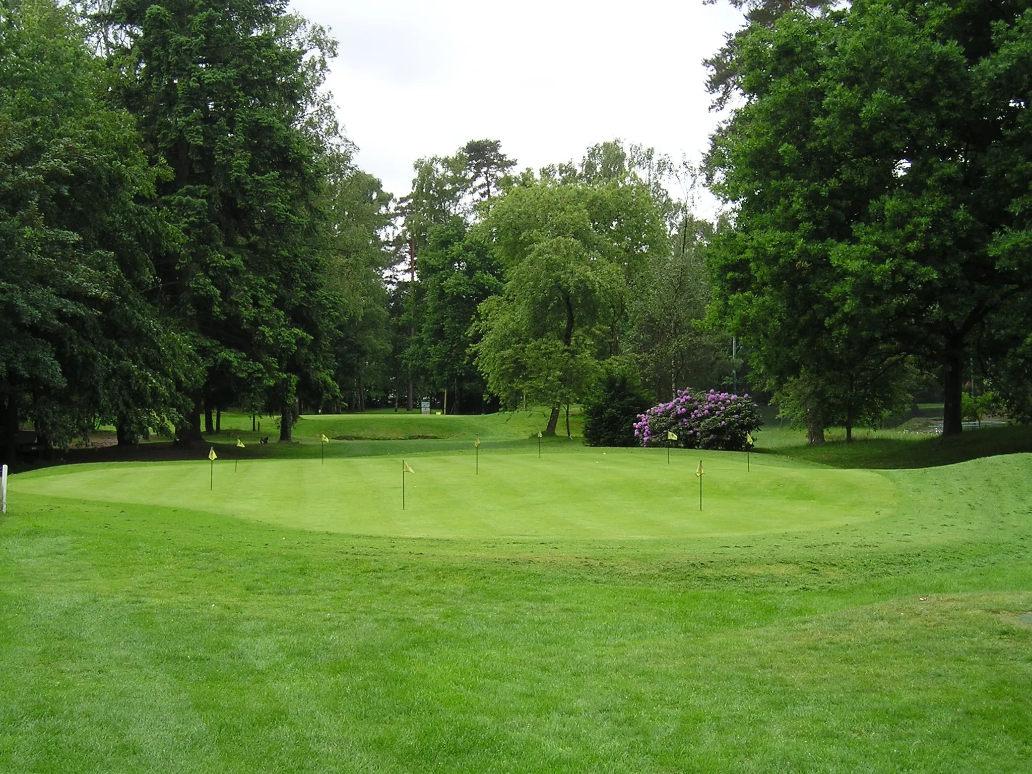 Doornse Golf Club