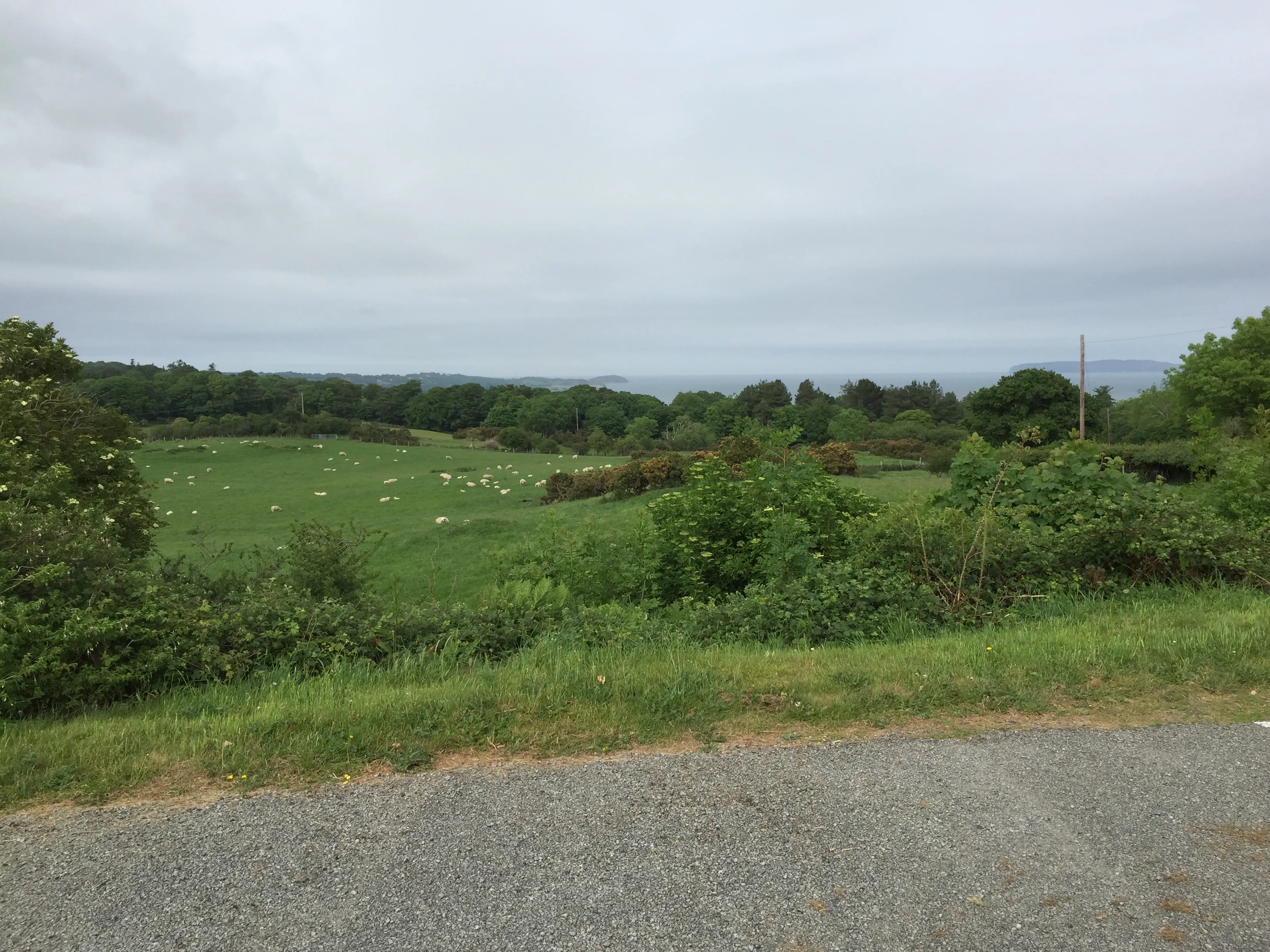 Llandudno (Maesdu) Golf Club