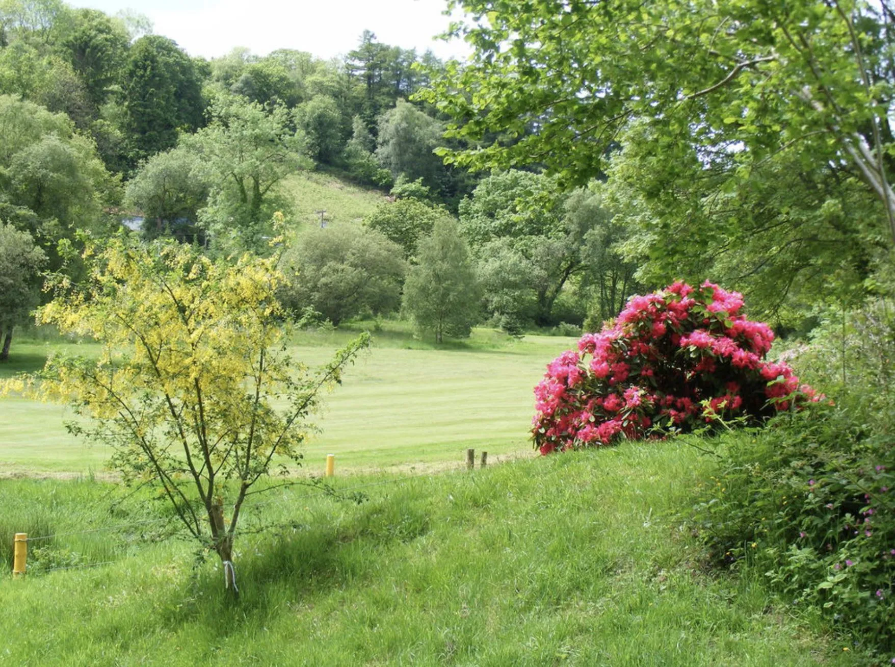 Cilgwyn Golf Club