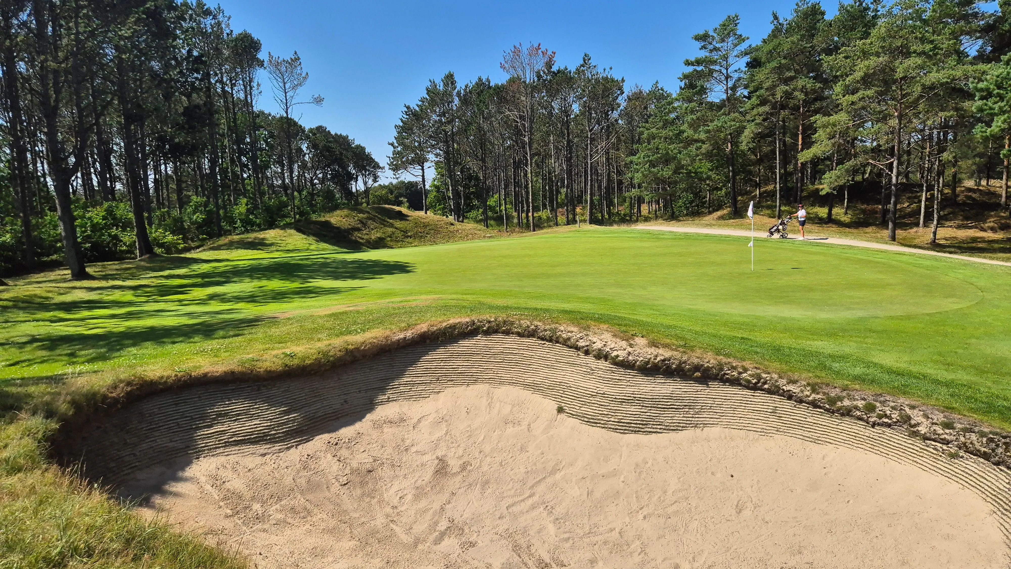 Golfklubben Hvide Klit