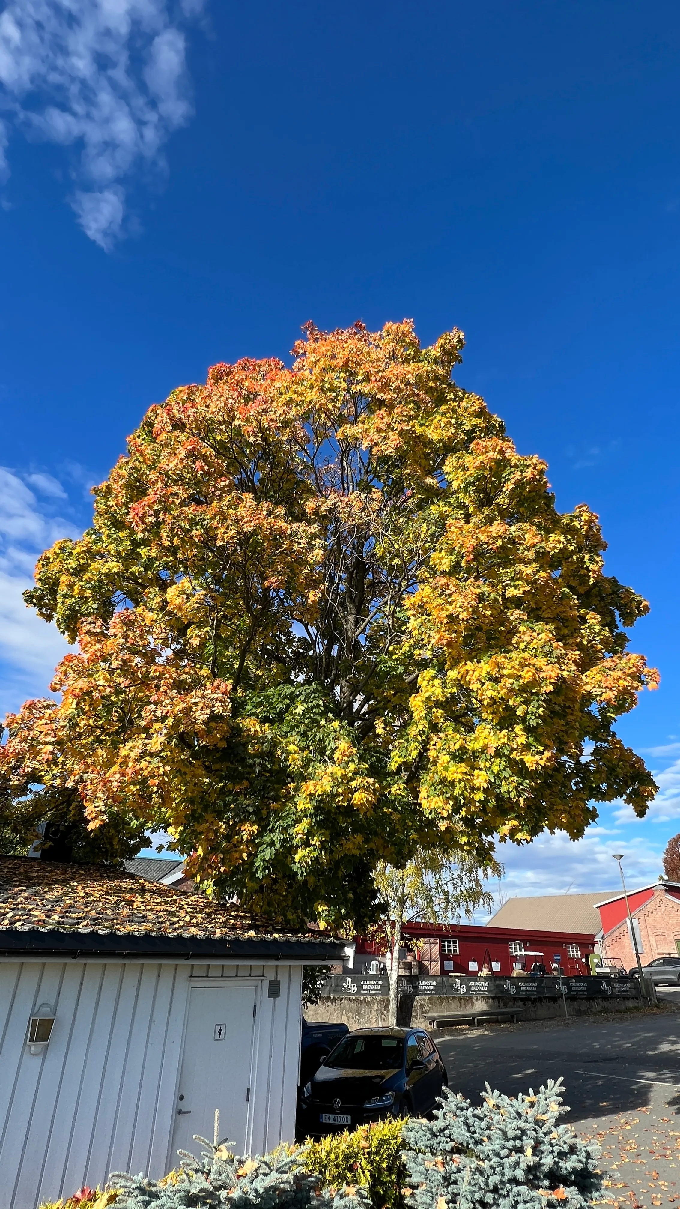 Atlungstad Golfklubb