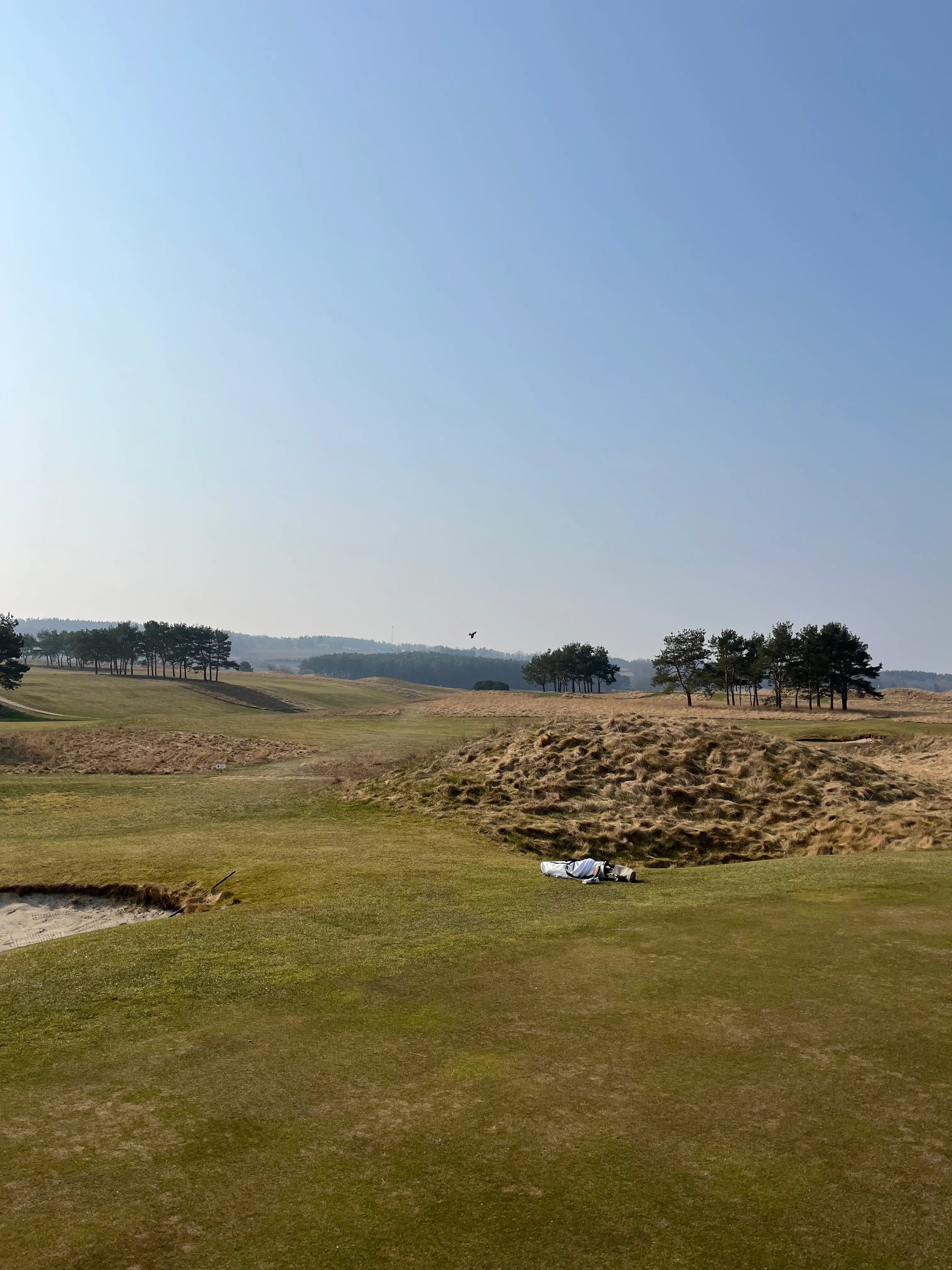 Degeberga-Widtsköfle Golfklubb