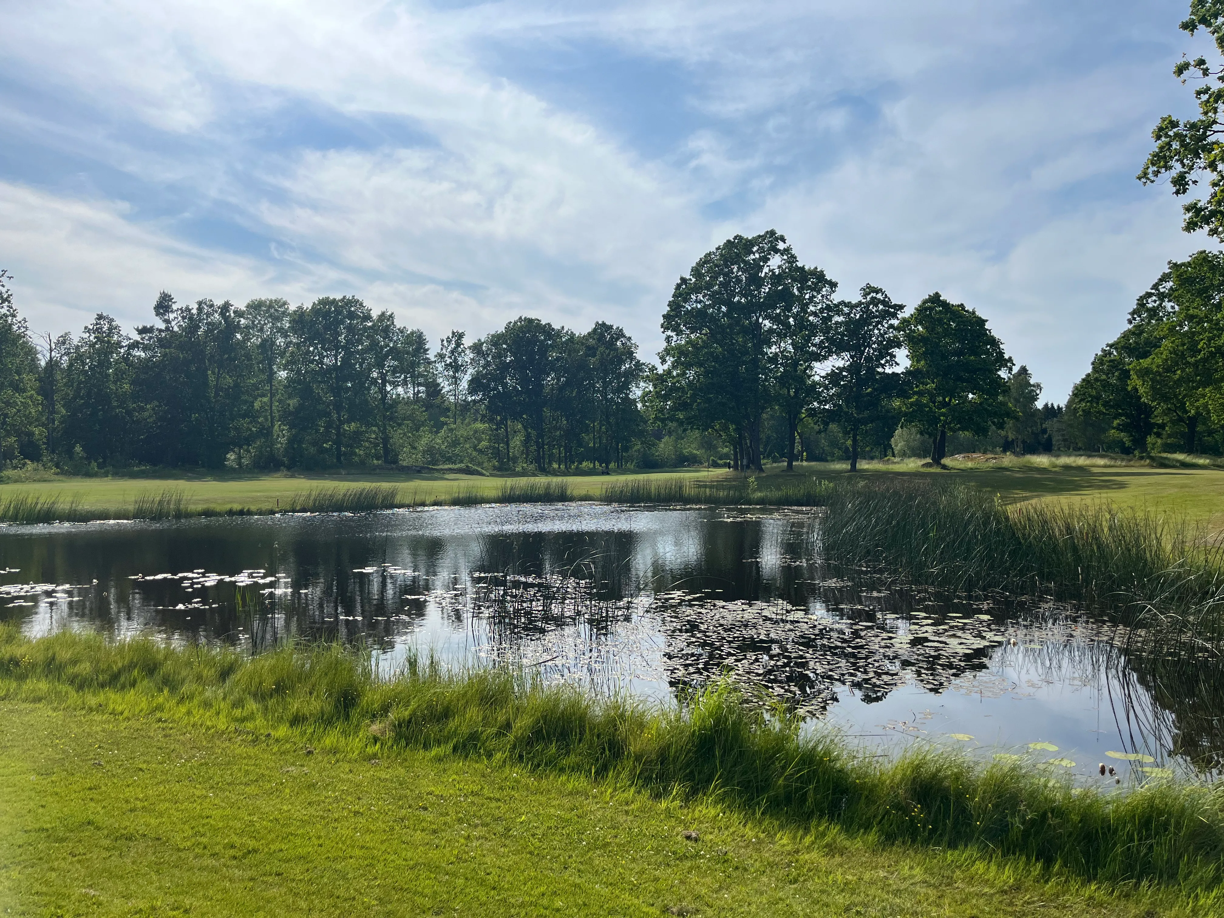 Oskarshamns Golfklubb