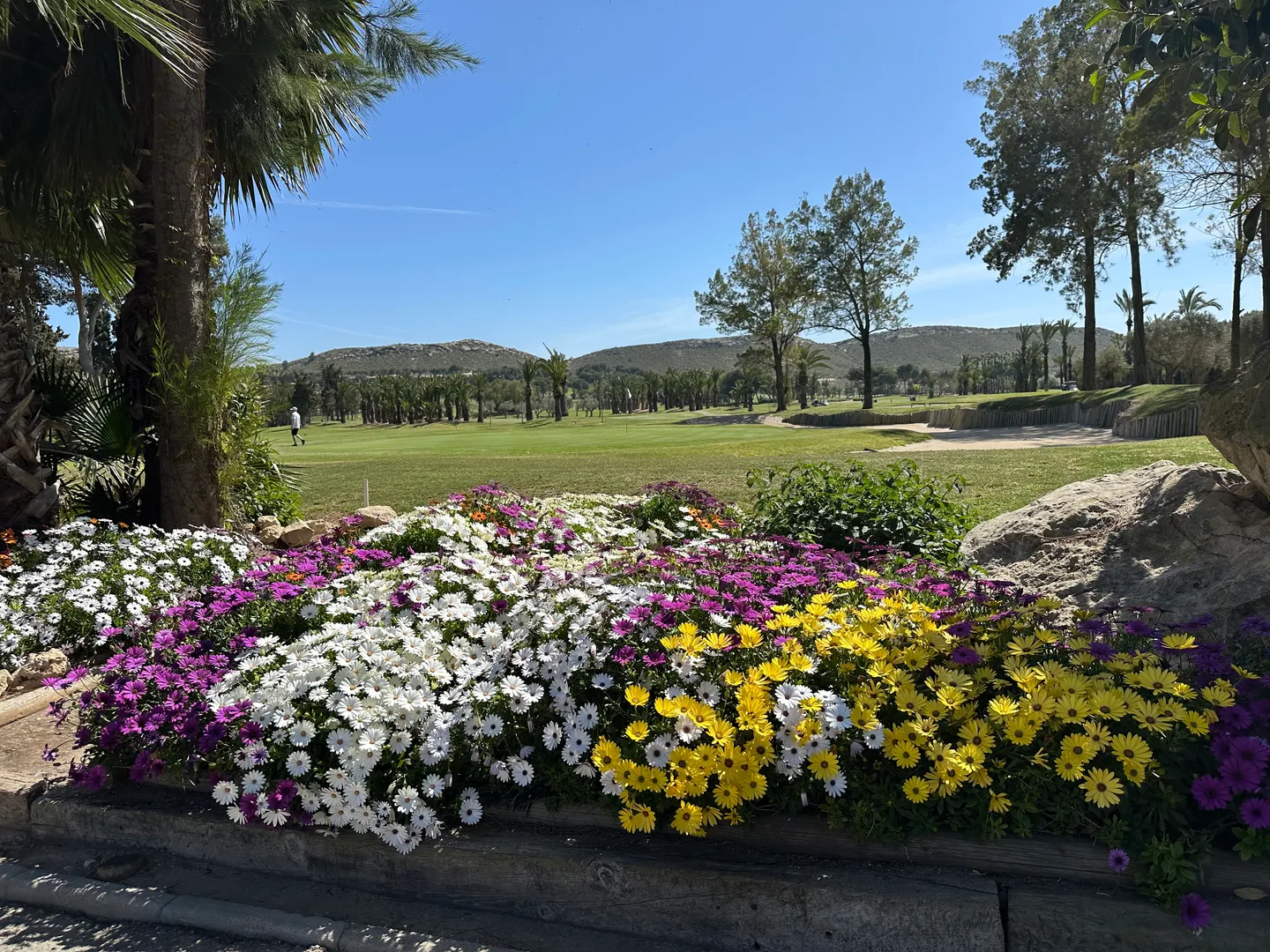 Vy över Club de Golf El Plantío med blommor och greener