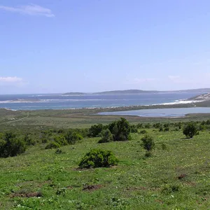Provincia del Capo Occidentale