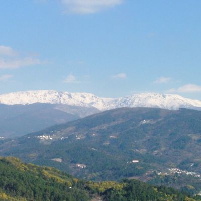 regions_1
